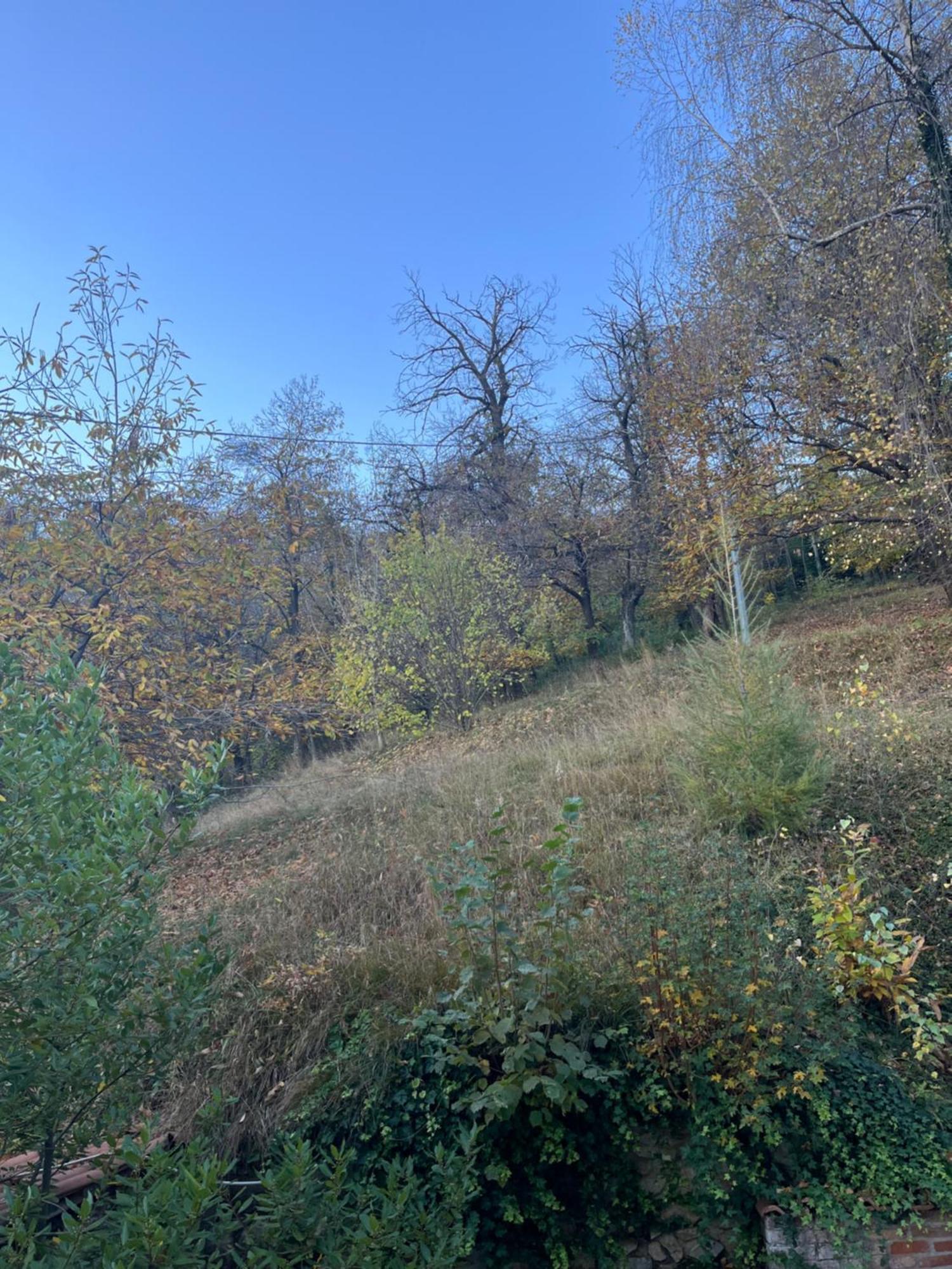 Il Bosco Incantato Borgo San Dalmazzo Exteriér fotografie